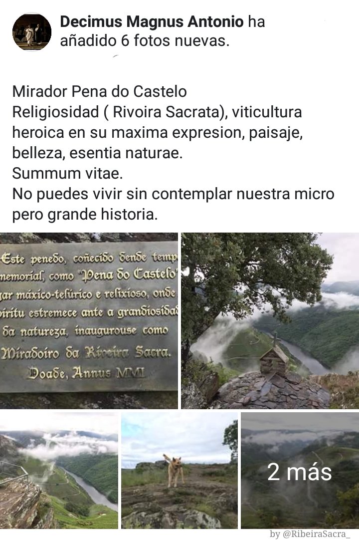 RibeiraSacra_'s tweet photo. #Miradoiro da #PenaDoCastelo
#Doade #Sober #RibeiraSacra
Álbum de fotos do FB de #DecimusMagnusAntonio
. . . 👇
https://t.co/FeAMMb9NiU
. . . 👆
Relixiosidade (#RivoiraSacrata), #ViticulturaHeroica na súa máxima expresión, paisaxe, beleza, 'esentia naturae'... 'summum vitae'. https://t.co/hL54pOhnLd