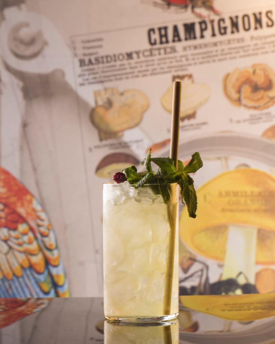 Santa Burg Garden Fizz from 🍸🌿@santaburgbcn
・・・
VIERNES 💥 Santa Burg Garden Fizz, Gin, flor de sauco, sirope de pepino, menta, limón, rose lemonade. Abrimos hasta las 3! #SantaBurgEixample #cocktailporn #cocktailsbarcelona #cocktailbars #drinkstagram #cocktailsofinstagram