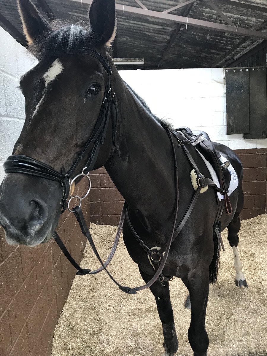 Bonnie Bartlett tweet media