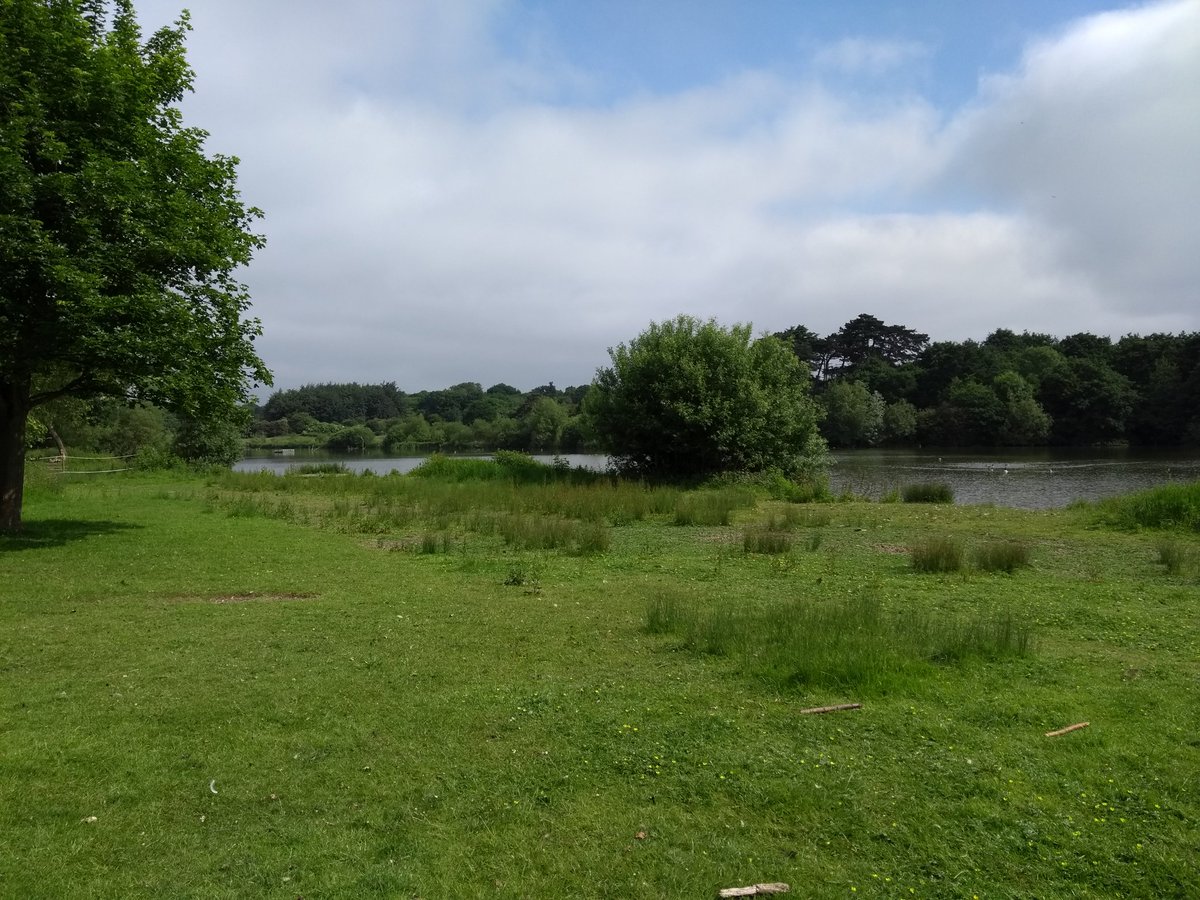 CUBGLearning's tweet photo. #Day10 #30DaysWild  #hoohaah run in #HatfieldForest Lots of lovely ancient trees to admire on the way round. Plus #peatfree plants to buy when you finish! https://t.co/Ajgn7QYKMa