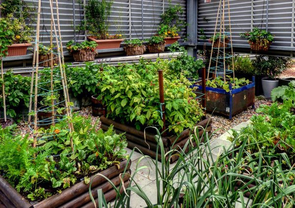 FletcherPriest's tweet photo. It's day two of #OpenSquares. Explore hidden gems like Eversheds roof vegetable garden today! @OpenSquares #OGSW18 https://t.co/9vnsSa15nT