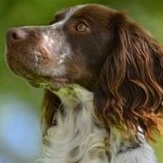 TippleThe's tweet image. We're at Strutt your Mutt today. Come and try a tipple.