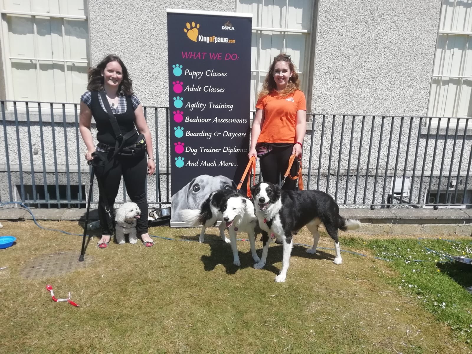 Dspca boarding on sale