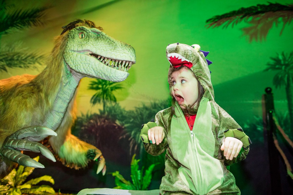 MCD Productions tweet media