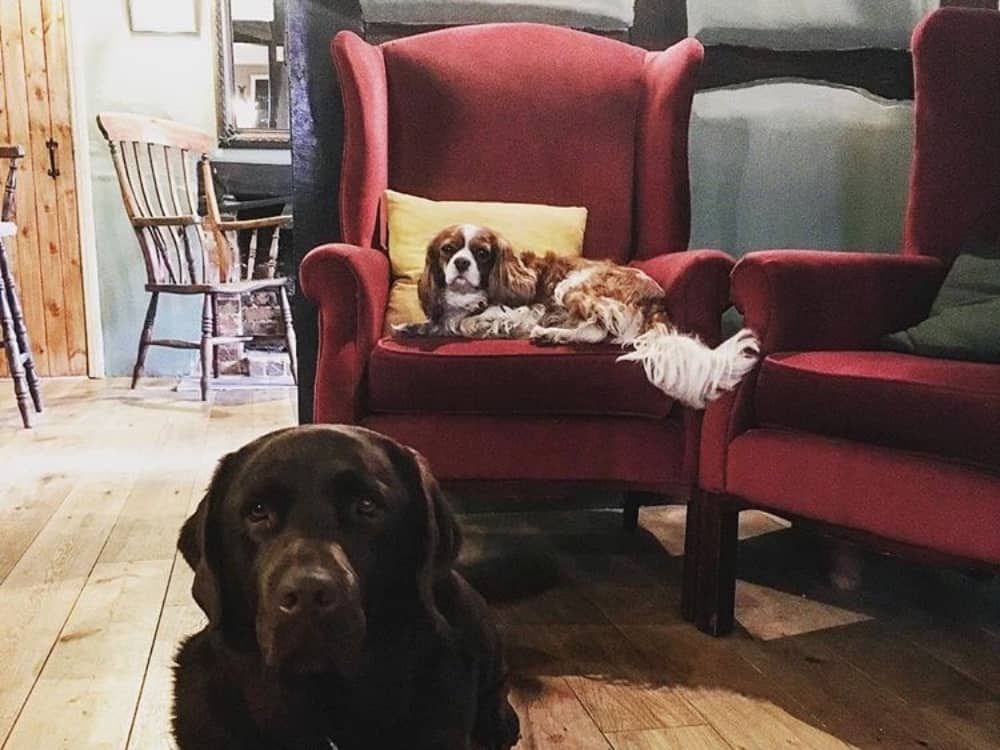 muddyberkshire's tweet photo. Looking for a cracking country pub to stuff our face and embrace the Sunday vibes? #TheOldBoot #Stanford Dingley has been given the kiss of life. Pitch up, eat, drink and relaaaax. Read the Muddy review⦠https://t.co/8mOGPtniOe https://t.co/WcnjkWhbjb