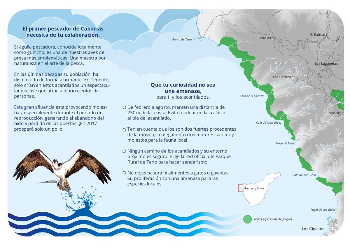 Picarus_SC's tweet photo. ⚠Tenemos que #cuidar de nuestra #tierra⚠

Lee y comparte❗❗
#guincho #aguilapescadora #species #amenazadas https://t.co/gS6JHzrNqQ