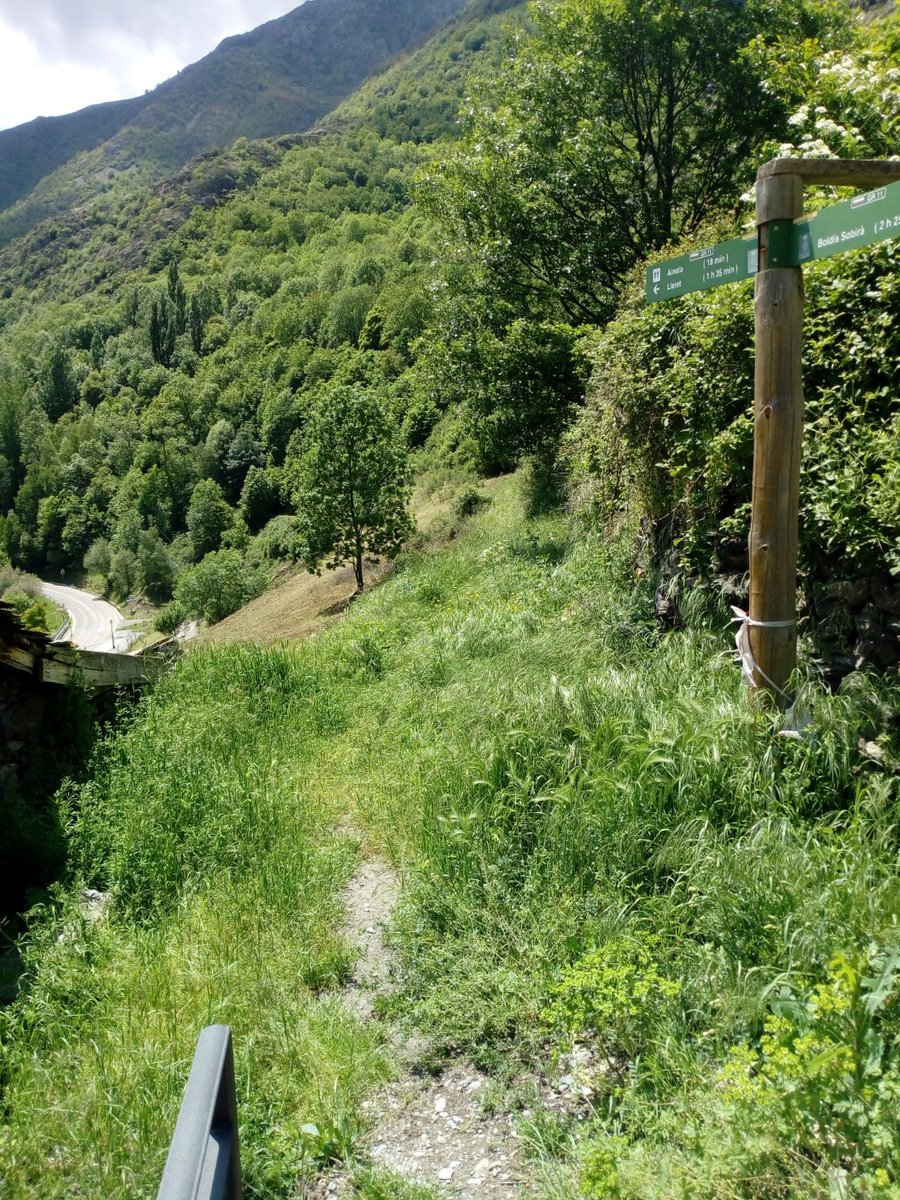 pnaltpirineu's tweet photo. Dia a dia el @pnaltpirineu va deixant apunt la xarxa de camins senyalitzats del Parc. Els trams Ribera de Cardós - Anàs - Bonestarre i Aineto - Tavascan - Graus ja estan desbrossats. Contracte de reforç de manteniment de primavera adjudicat a les empreses #SEFOCAT i #CAOPSA. https://t.co/TWzv07jRWU