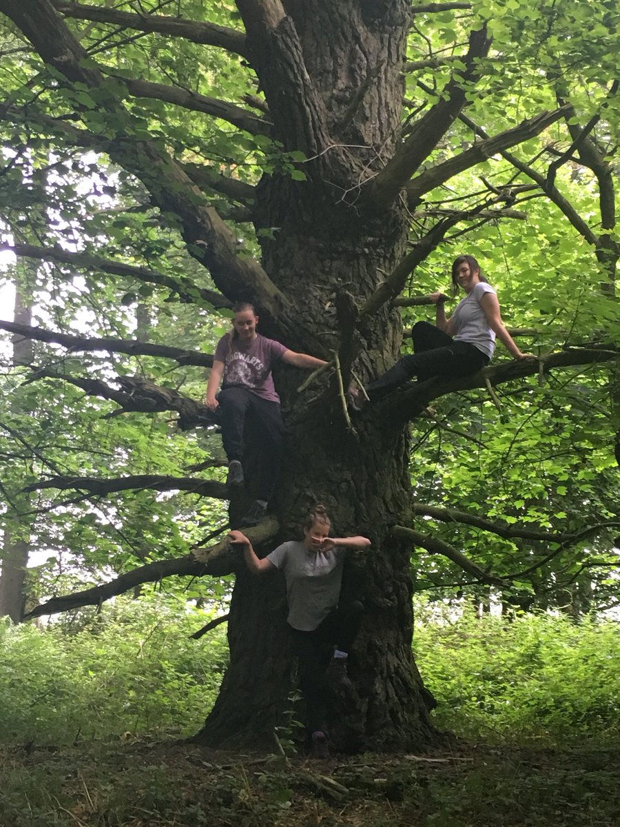 SexeysSchool's tweet photo. To tree or not to tree? That is the question! Red team engaging with nature #lovedofe @SomersetDofE https://t.co/YVTMaT2TND