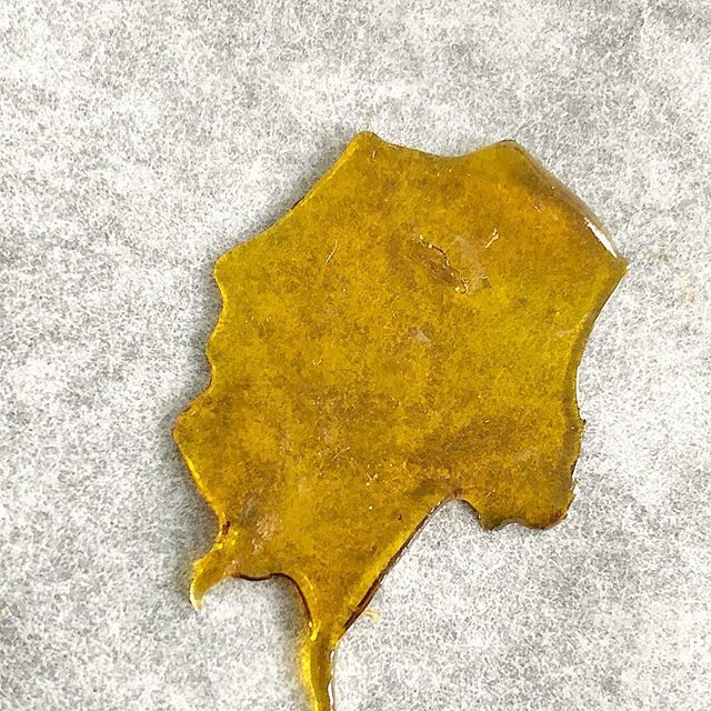 weedrev420's tweet photo. #kandykush #wax #shatter #extractions #dabs #dailygrind #amsterdamweed #concentrates #terps #tasty #af #savage #drydabs #hotnhurty #sundayfunday #weedporn #weed🍁 #stonerlife #staylit https://t.co/LvtbOfocE3 https://t.co/Oy5VHcYjXN