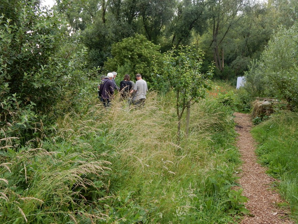 Geweldige happening was die #700soortendag! En we staan nu al op 902 waargenomen soorten alleen in ons werkgebied in die twee dagen! Maar liefst 156 soorten nachtvlinders! nvwc.nl/nieuws/prachti…