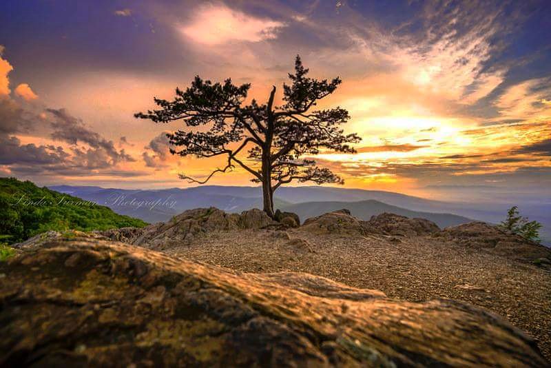 turman76's tweet photo. #visitvbr #virginia #visitvirginia #ravensroost #blueridgeparkway #virginiasunset https://t.co/vo9FmVIuy2