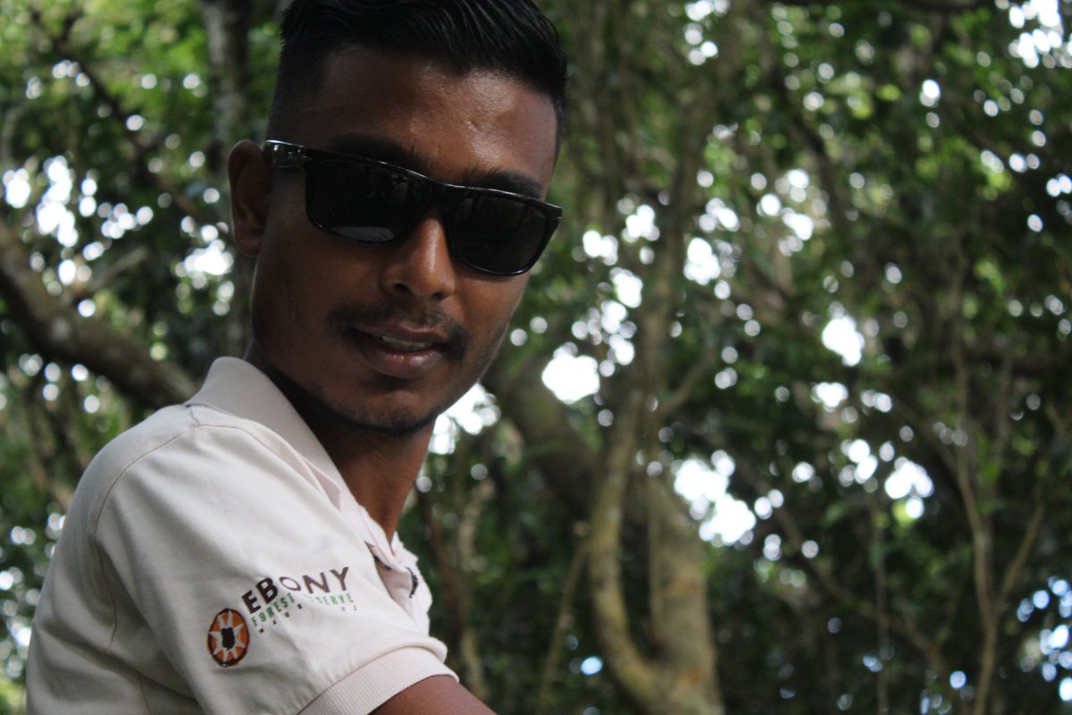 Ebony Forest Reserve tweet media