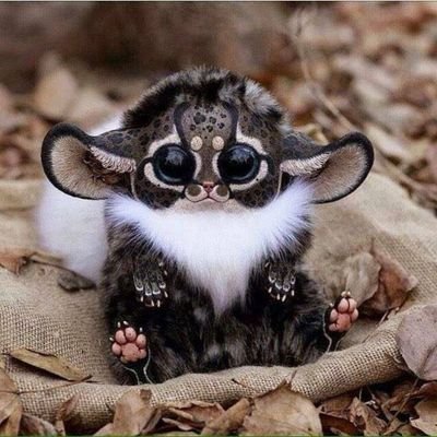 EvaFernandezFZ's tweet photo. All #NATURE 🌟😍💖🌟 is #Wonderfully #Beautiful  @zooanimalspics  👏👏👏 https://t.co/evRNH5NSud