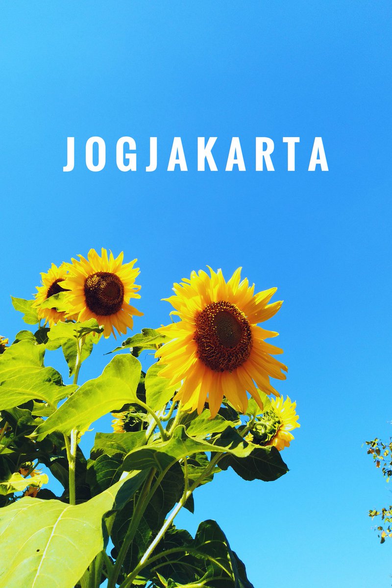 "Siapa sih yang nggak baper sama Jogja"

Inilah rekomendasi tempat-tempat menarik di Jogja versi Albertna yang bisa kamu kunjungi di musim libur ini, atau kapan pun kamu bertandang ke kota ini.

(SEBUAH UTAS)