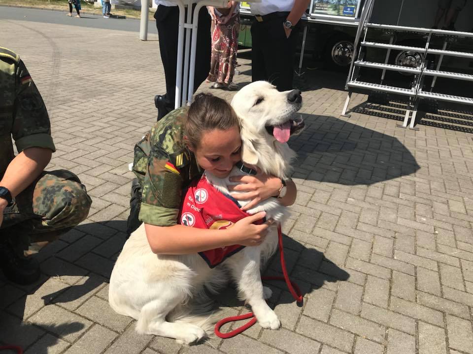 rehahunde's tweet photo. Großartige Stimmung

#TdBw18 #Bundeswehr #Assistenzhund #Soldatenhund

Neues Projekt - #MILESHOME https://t.co/Dpc4OZXOls