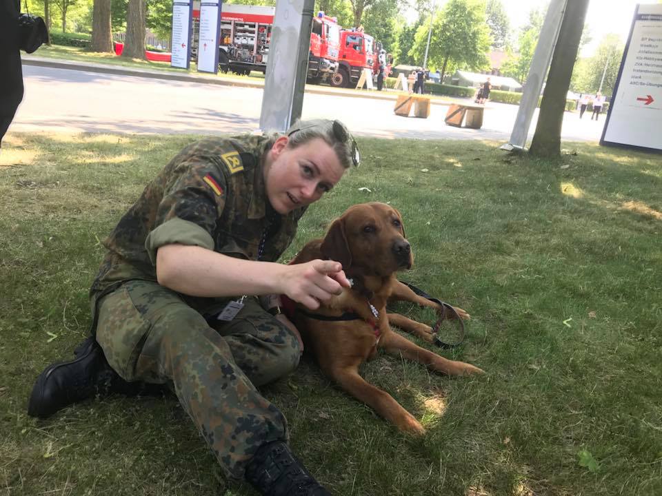rehahunde's tweet photo. Großartige Stimmung

#TdBw18 #Bundeswehr #Assistenzhund #Soldatenhund

Neues Projekt - #MILESHOME https://t.co/Dpc4OZXOls