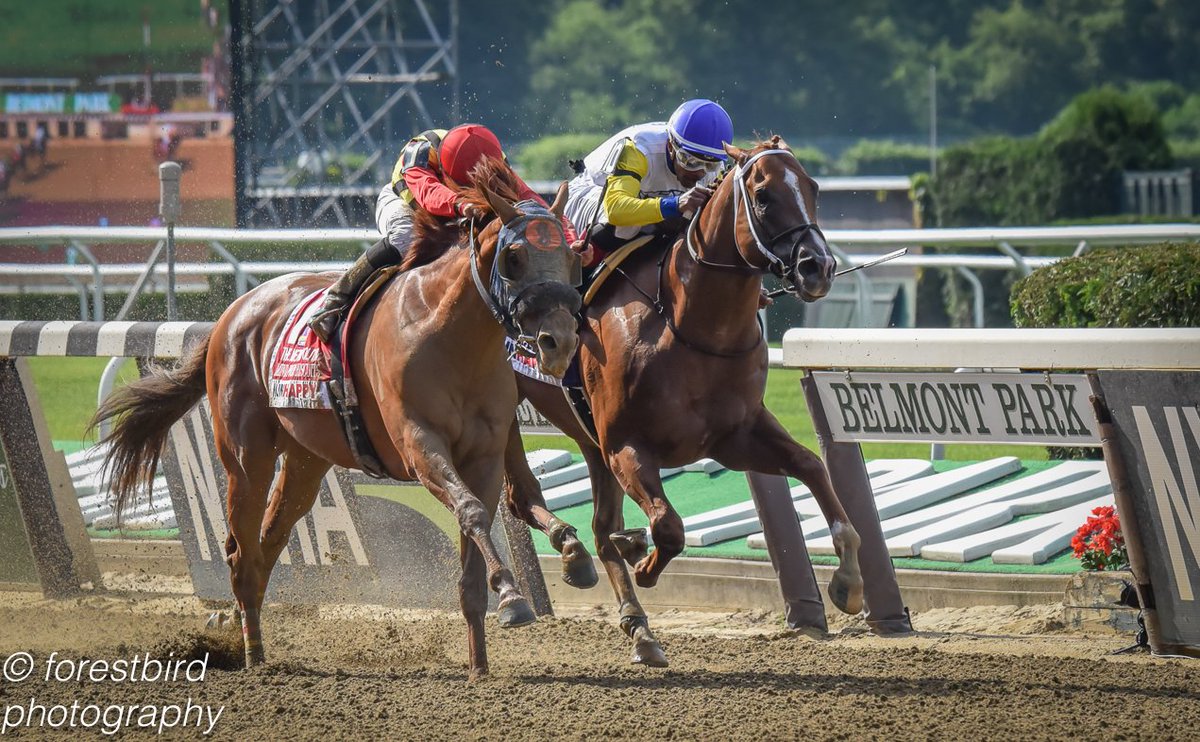 What A Duel in the #MetMile with #BeeJersey holding off #MindYourBiscuits