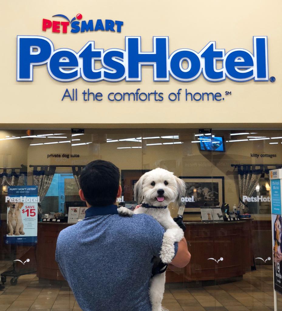 Petsmart On Twitter Do You Have 4th Of July Plans Your Pet Can Stay With Us Petshotel Https T Co Oflnnfeleo