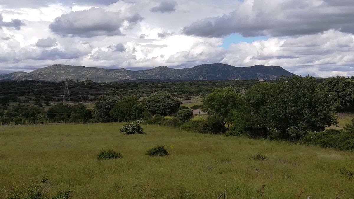 missindra's tweet image. #fieldsofgreen