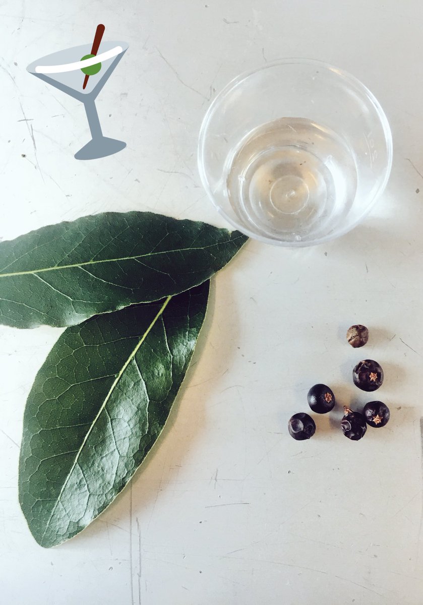 Alexandra1069's tweet image. Don’t mind if I do! #Gin tasting in a train - fun &amp;amp; great discoveries @thechesshireset @Eurostar @DockyardChatham @GSRdistillery #sundayfunday #ginlover