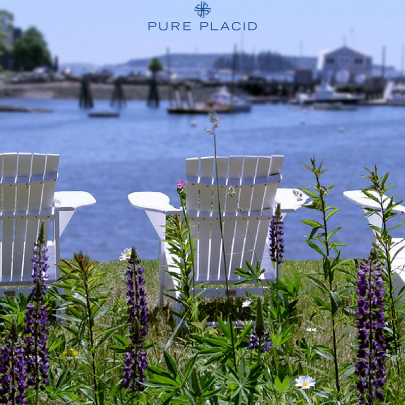 pureplacid's tweet photo. Local Facts:
The Adirondack Chair was created in Westport, New York, on the Adirondack Coast of Lake Champlain.

#localfacts #Adirondack #adk #coastallife https://t.co/fHvGTfhUov