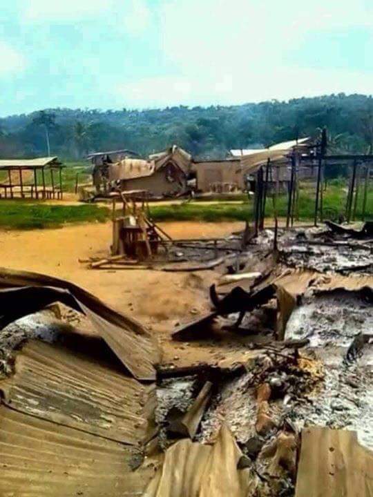 MimiMefoInfo's tweet photo. The Minister of Economy, Paul Tasong tells journalists in Buea that the people are not in bushes as reported and that only farmers go to the bush... Maybe he meant what we see below is a new farming method in the South west region https://t.co/h6ANLlqaZ9