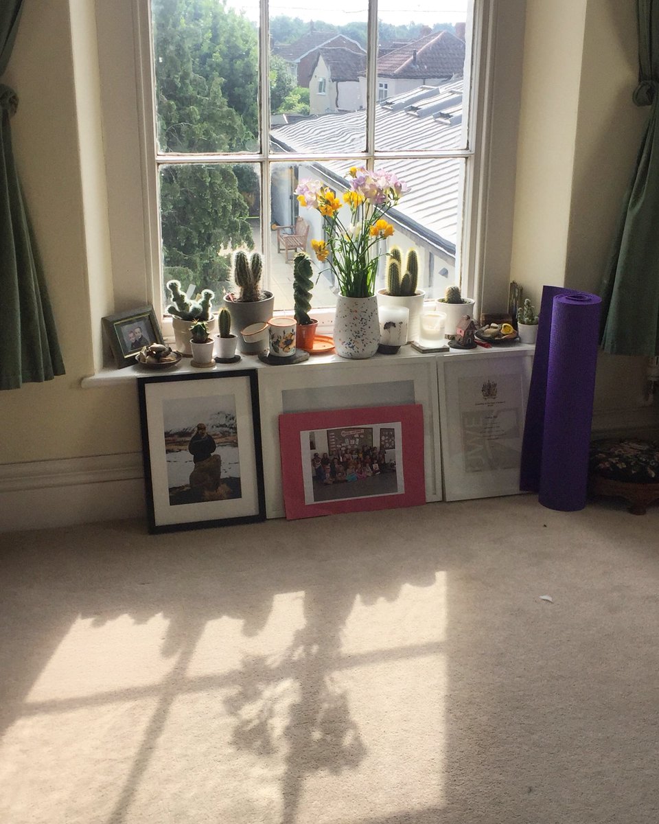 gabirowbottom's tweet photo. 🌞💐🙌🏻                #sundaymorningsun #summer2018 #freesias #cacti #sunshine #june2018 #positivity https://t.co/mvjHakpWuq