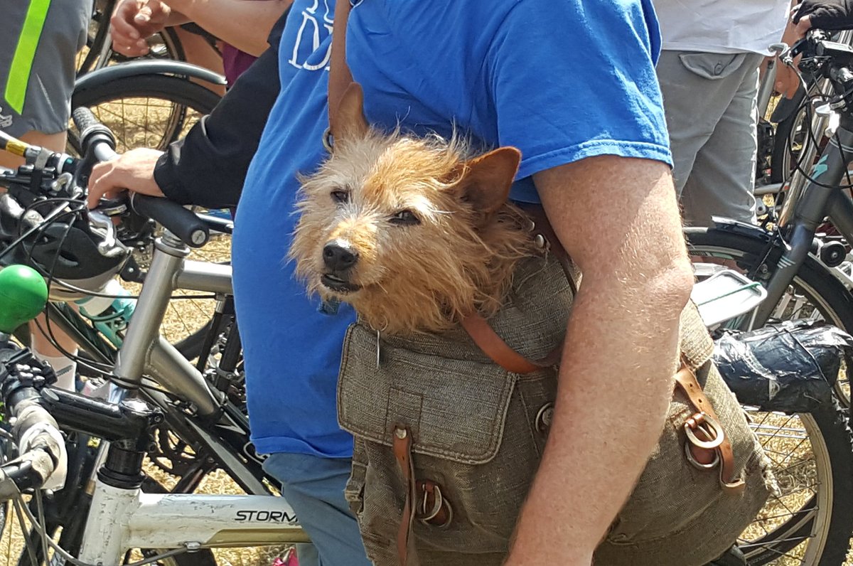CiaranCuffe's tweet photo. Good crowd on #LiffeyCycle today. Time to channel this enthusiasm and get all political reps on board https://t.co/I2YQSaGyvx