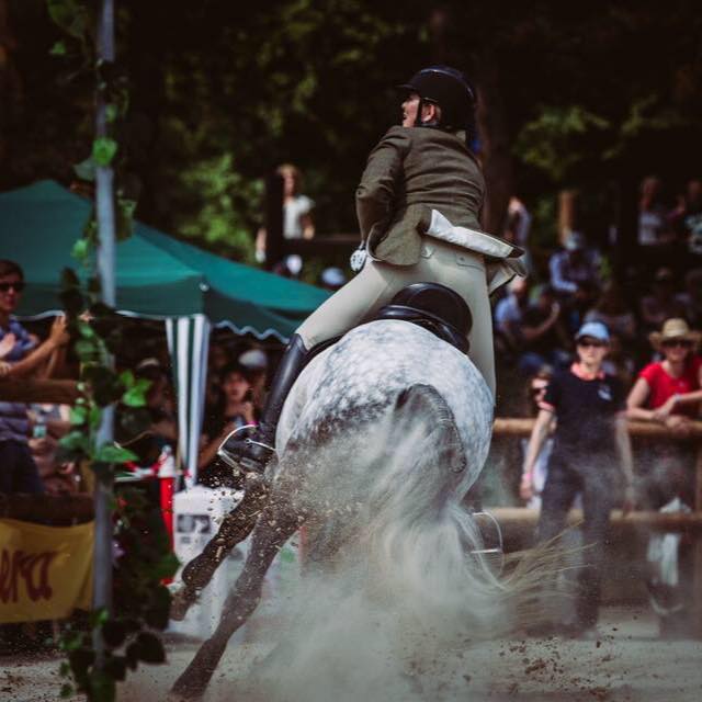 ABWEofficial's tweet photo. We love this picture of Holly Barber checking her time in the Speed Rounds at the recent World Equitation Championships.  They finished a fantastic 6th in the World overall #workingequitation #ABWE #WAWE #HollyBarber #speedround #gallop #horses #equine #equestrian https://t.co/PHIe4m0s0k