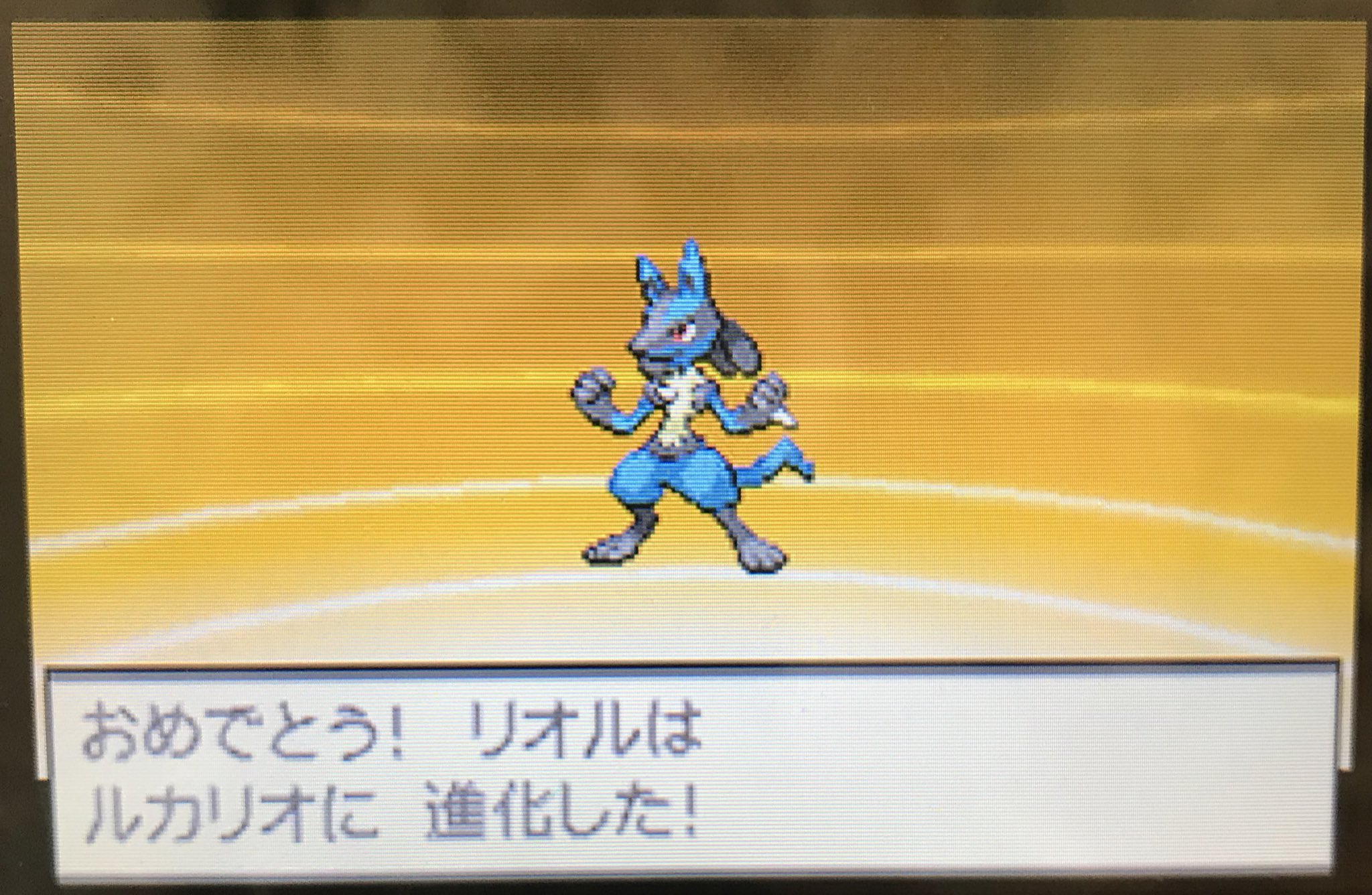 あませー Auf Twitter ポケモン初心者がブラック2を今更プレイしてます 昨日から結構進めて ゾロアークとルカリオが手に入り 今こんな感じのパーティーです バッチは4つ集まり ホドモエシティにいます まだまだわからない事が多いので 攻略のコツなどを教えて