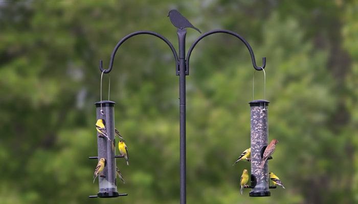 Wild Birds Unlimited On Twitter Heavy Duty Raccoon Proof Bird