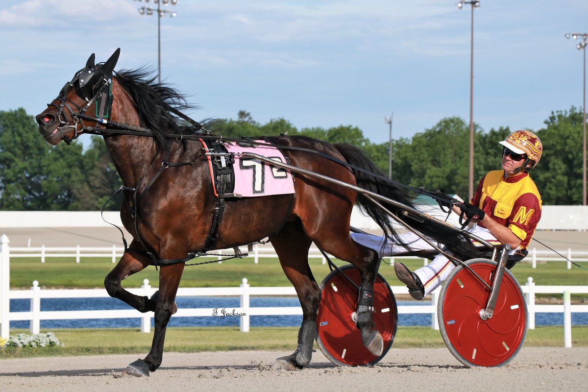 hoosiernations's tweet photo. GoodMorning @MacomberJr @triplemracing @JFoxStable @Chris_wponies @JoannKi32885615 @rebelsart @jtlburn @kimberlymoier @vnssa926 @JoannKi32885615 @KathleenBaitzel @SadandSulk @HoP_Racing #BluebirdSunshine #RickyMacomberJr #PlayHP https://t.co/HB7n8hJveW