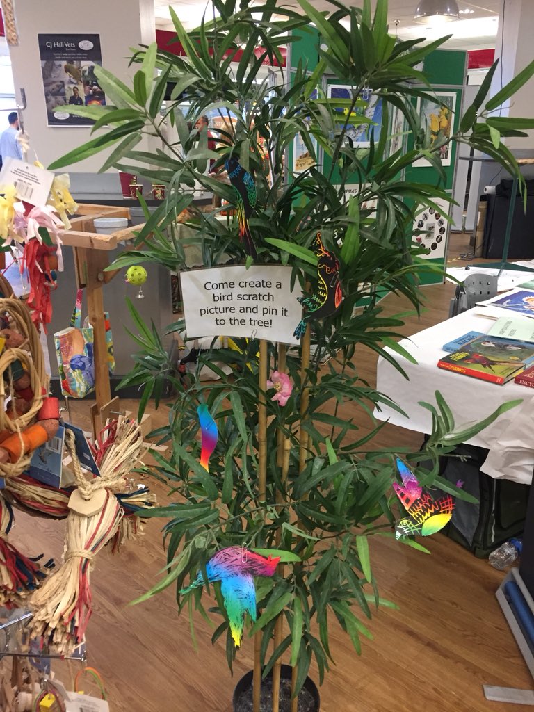 Busy at the Think Parrots 2018 stand. More bird scratch pictures joining the tree!