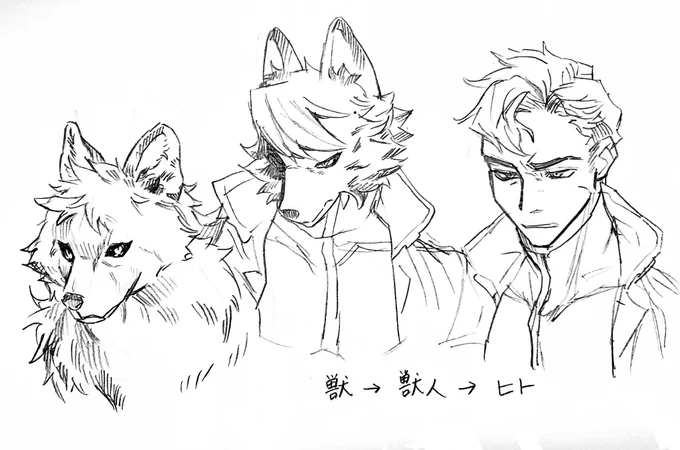 こう…こういう…原型は獣だけど訓練したら人間の姿にもなれるみたいな…趣味です… 