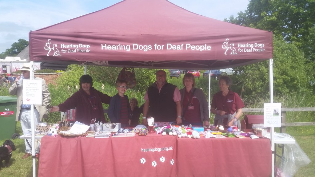 myhearingdog's tweet image. The @HearingDogs and @VolTeamHDogs @SYMutt2016 the sun's out and the tails are wagging. Come and say hello.