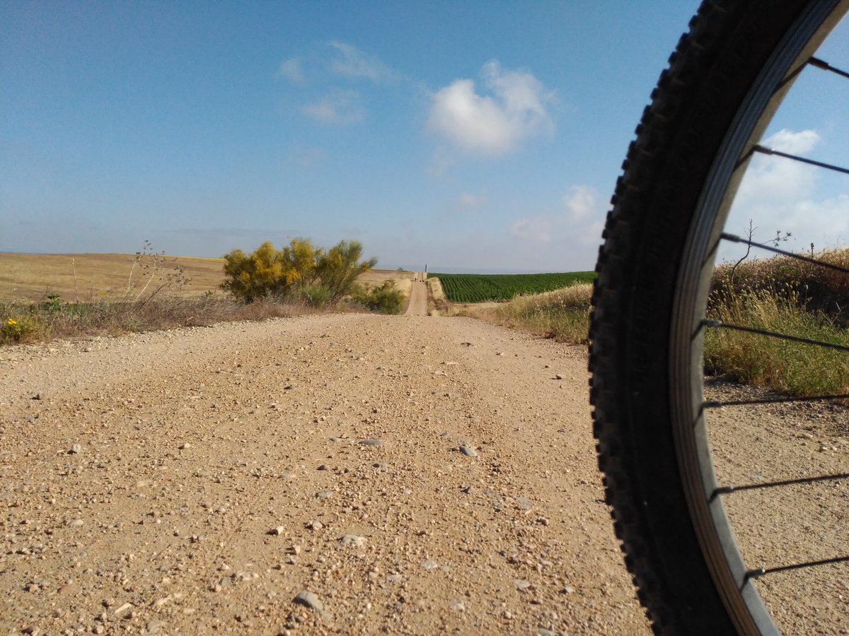 conreina's tweet photo. 7 kms para el ciclista no supone mucho pero para el peregrino puede resultar vital, arboleda ya!!  Camino de Santiago: Sevilla-Guillena @Ayto_Sevilla @DIPUSEVI @SantiponceAyto @AYTOGUILLENA @diariosevilla @Sevilla_Turismo @RutadelaPlataML @Peregrinosasant https://t.co/7q1CfBiQ8z