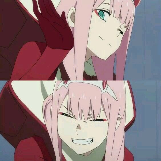 EnriqueBp5's tweet photo. AMO  A  ZERO TWO <3 NUNKA ENCONTRARE UNA  WAIFU  COMO ELLA :,( #Zerotwo 
ahora quedan 4 cap. UwU
nunca te olvidare 002 :'( https://t.co/vaInSVYnKf