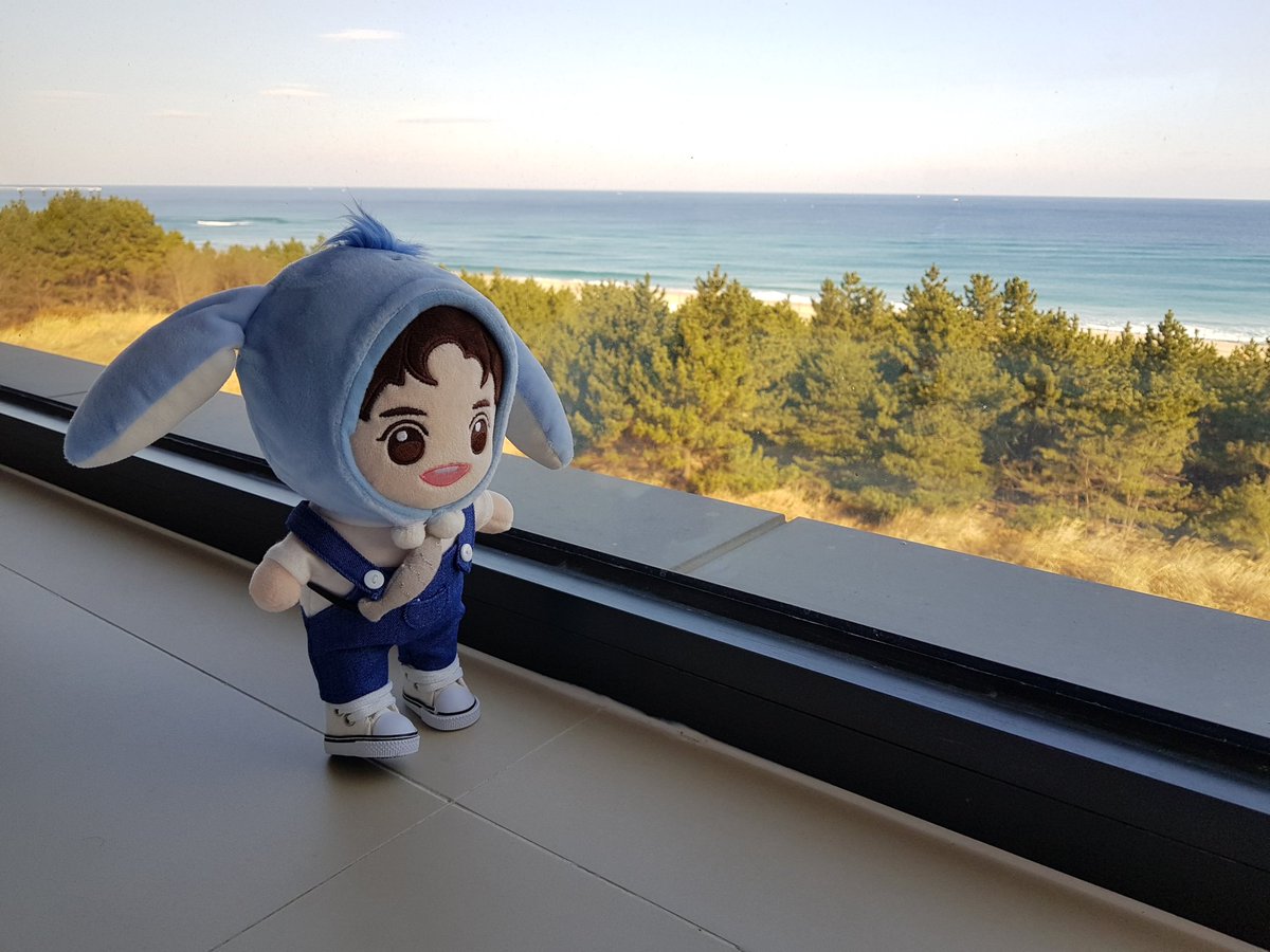 summerx21's tweet photo. 지난 겨울 강릉에서 베비웅과 함께한 연말 휴가
#베비웅 https://t.co/D6qWCv3OEa