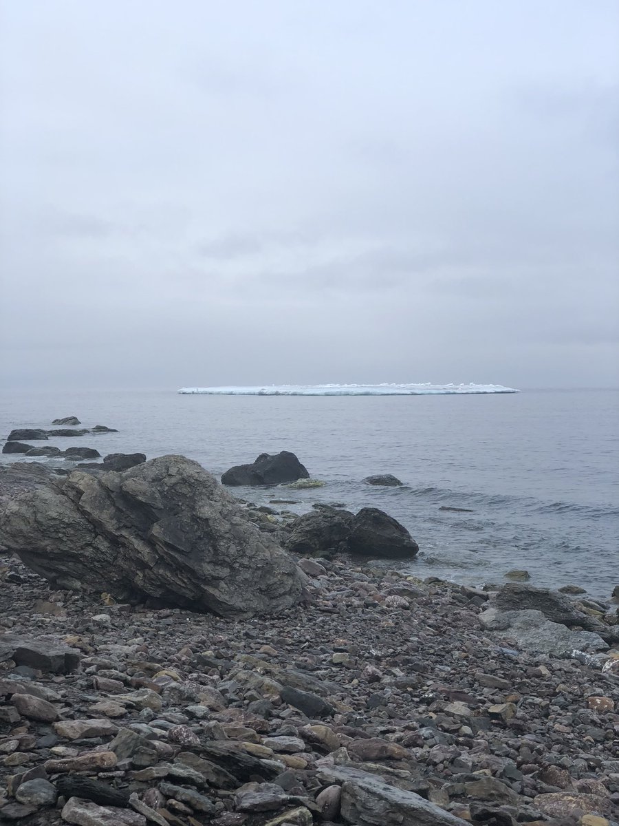 LabradorCoastal's tweet photo. A few early morning visitors at #PointAmour , here to help get everyone excited for #WorldOceansDay celebrations this afternoon! With all the beauty living in and around the #StraitofBelleIsle , who wouldn’t want to protect it? #plasticfree #plasticpollution #cleanseas #CleanUp https://t.co/4oUTc6g6Hl