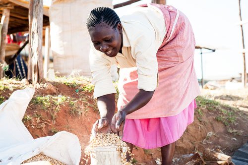 “I want to sell my maize to buy a cow, buy new chairs for my house, and buy a television. But most importantly, I want my children to finish school.” - Stella Wanyama #SmallholderFarmer #OneAcreFund