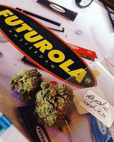 Freakys420's tweet photo. Come on and try this tasty Peyote Cookies !!! 😉😉😉 DM us for more informations about club in Barcelona. 😋 #weed #canna #csc #coffeeshop #thc #cbd #spacecake #massgrow #massroots #deuwi #rouleundragon #souyefest #souyon #megaboz #bud #hashbar #privateclub #high #stoned https://t.co/I9x2O7w755