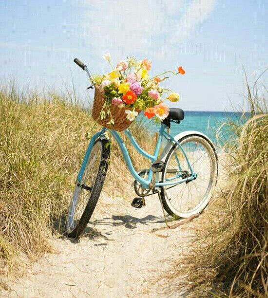 I BIKE SYDNEY tweet media