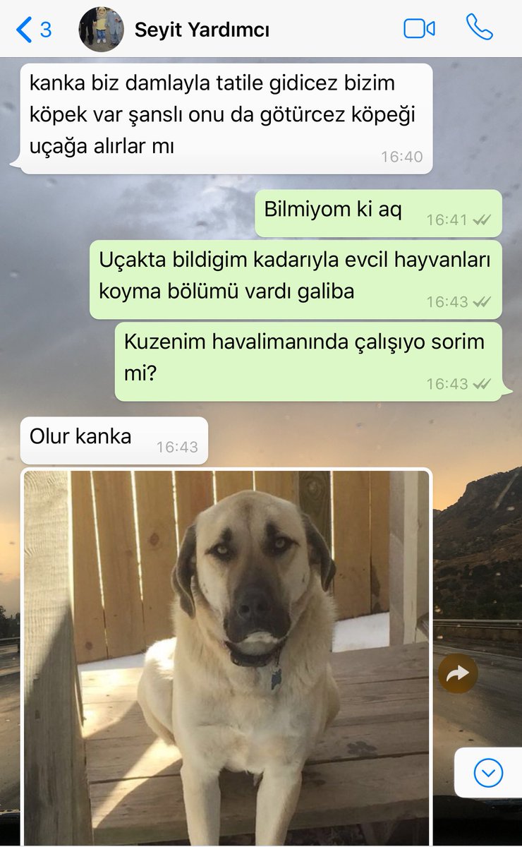 Fenerliayran's tweet photo. Bu Sivaslılar adamın ömründen ömür götürür vallahi billahi xjdjxjzksjxjjz https://t.co/orZ9DZi2Fs