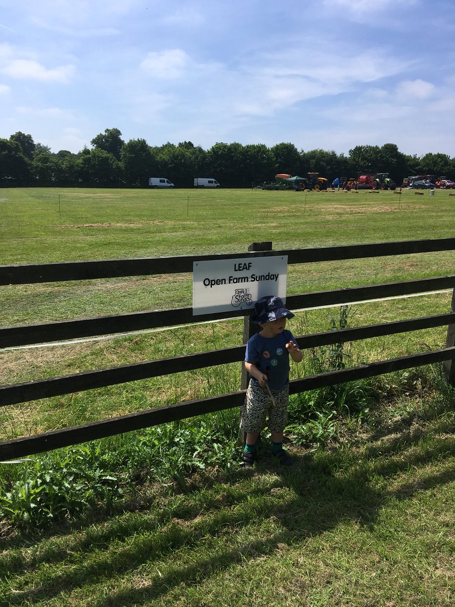 ehwscott's tweet photo. Luton Hoo today for @OpenFarmSunday, loving the @SainsburysNews cress seeds, tractor rides, historic farm buildings and the general good vibes emanating from all visitors #OFS18 #backbritishfarming https://t.co/b3pVBHKeHW