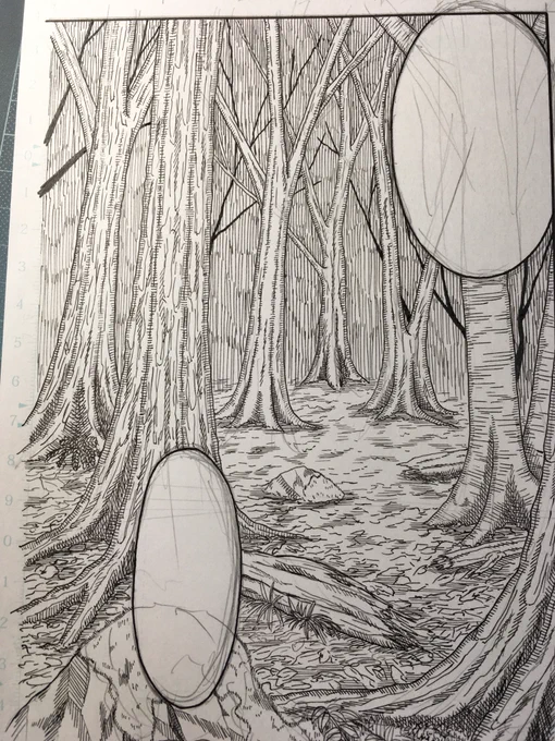 森 