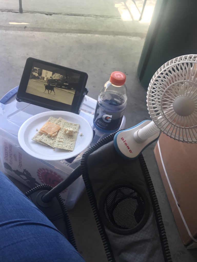 No other way to pass a Sunday! 
Snacks, Movie, Fan and making Money!! 
The struggle is real 😜😜... #Paparazzilife 😍