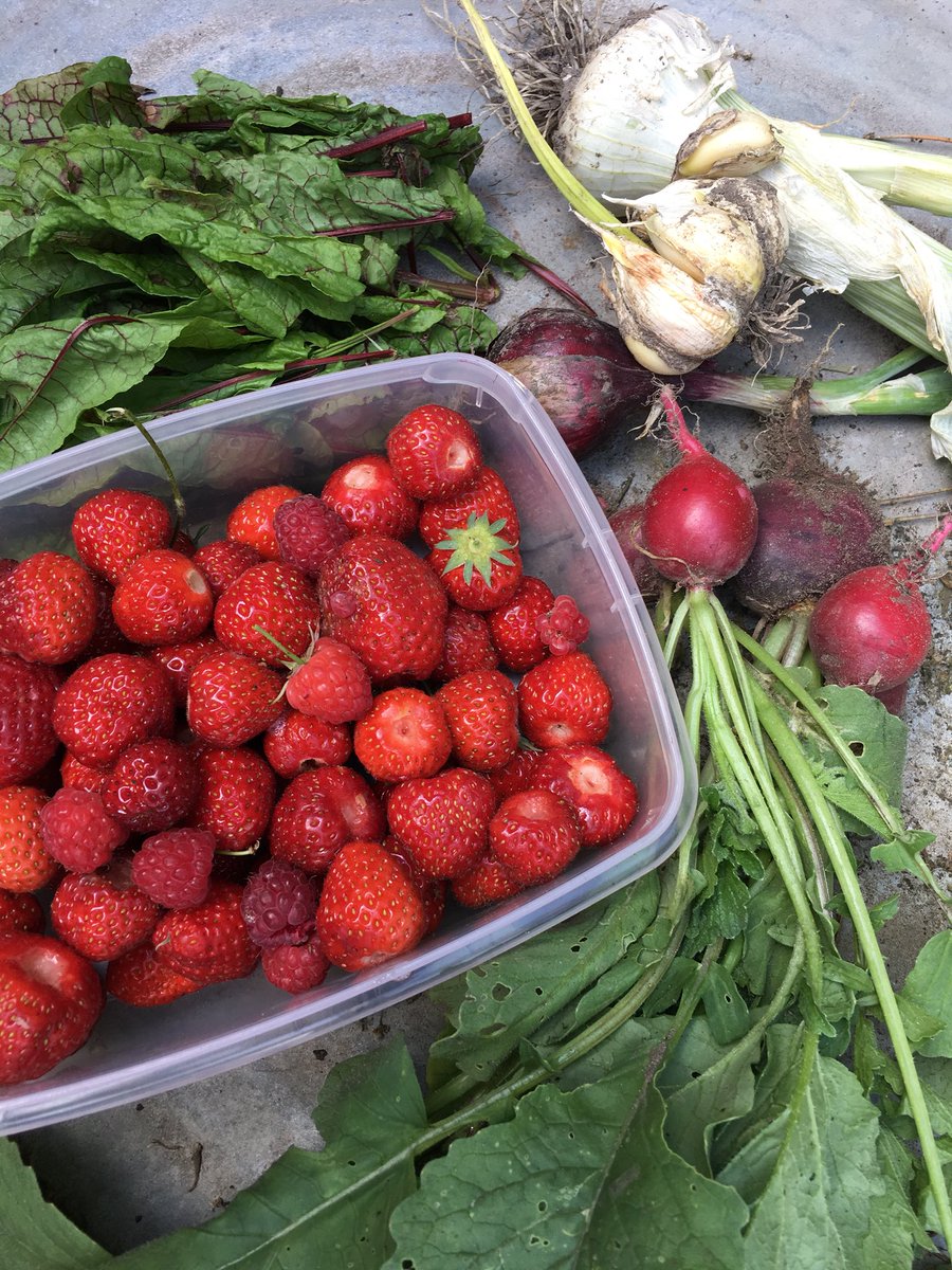 Gaat de goede kant op