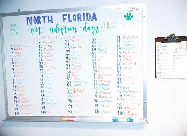 We are ready for day TWO of #NFPAD! We had 115 adoptions yesterday and still have more pets available to go to loving homes for free! 🐶😻❤️✨🐾
#emptytheshelters