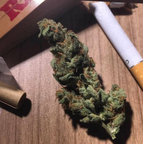 xWeedpost's tweet photo. https://t.co/QhT3fMqQuP