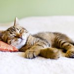 Photo by Лучшие фотографии (@BestFotoRu)
